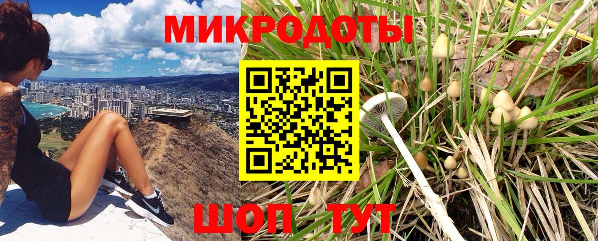 Галлюциногенные грибы Cubensis  Вход с VPN  Чистополь 